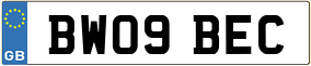 Truck License Plate